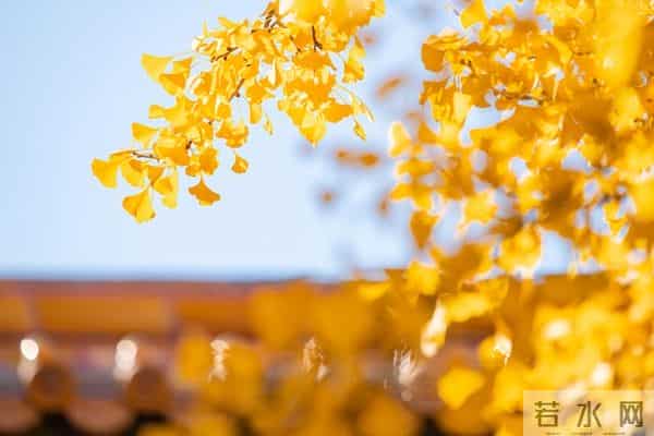 十一月结束文案，这样发超赞