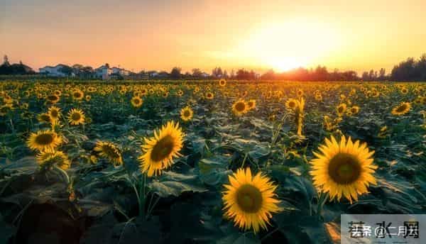 两性问题：异性朋友之间，一旦有三种联系，就是越界了，警惕！