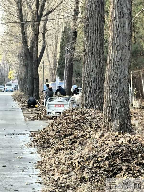 人间的饭吃一碗少一碗身边的人见一面少一面脚下的路走一天少一天