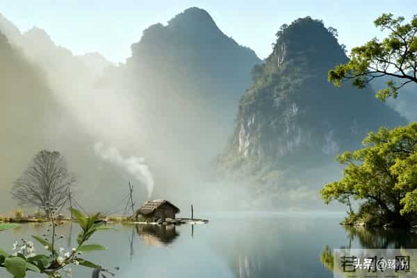 “人若狡猾，一眼便知”：狡猾的人，往往有这4个明显特征