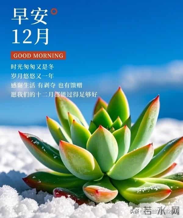早安十二月！愿您这一年的付出，都在这最后的时光里绽放光芒！