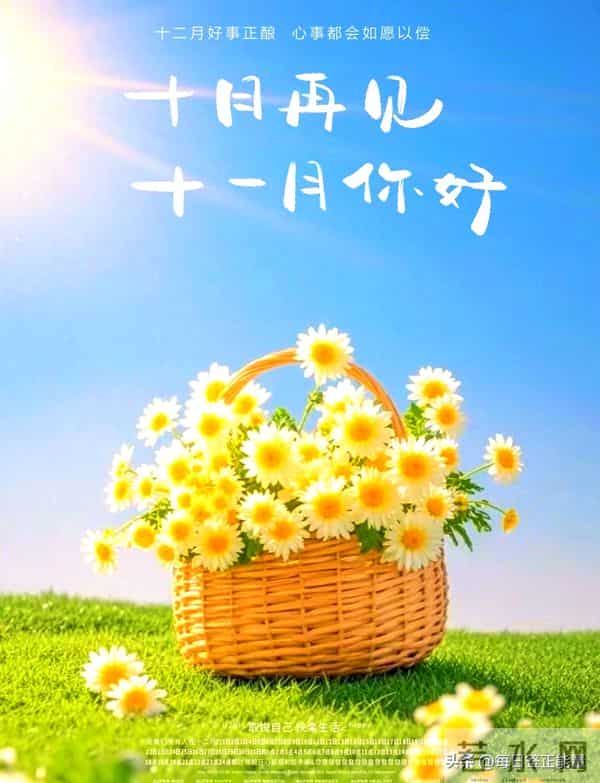 早安十二月，第一天晨语：在冬日积蓄力量，让努力绽放冬日暖阳