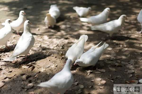 别人的天生好命，实际是选择的结果