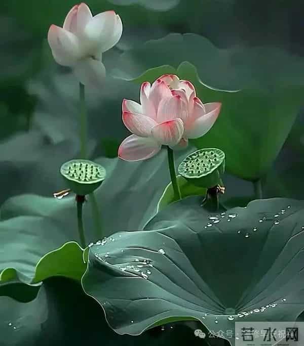 努力的人，转错的弯，走错的路，都会成为独一无二的风景。