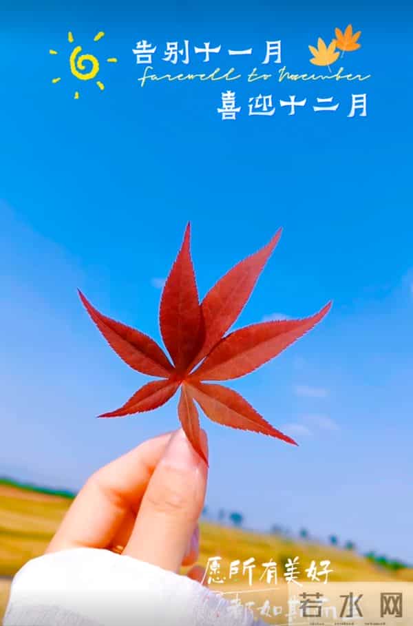 十一月再见十二月你好！