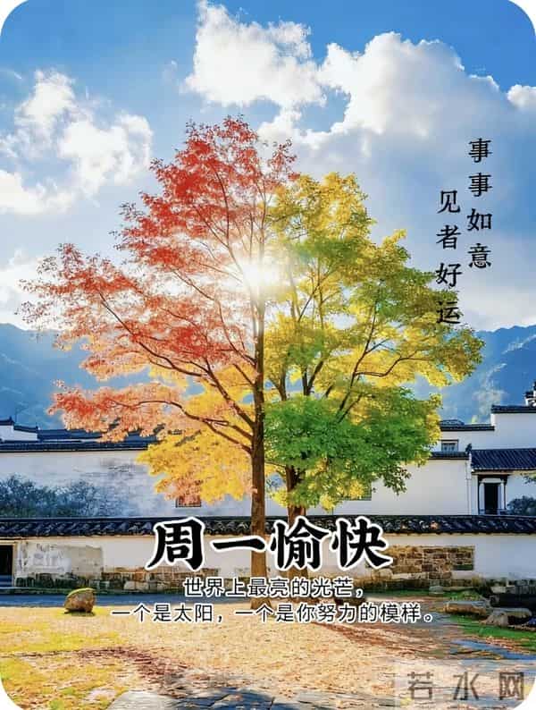 2025年12月1日周一早上好祝福语图片，最新温馨淡雅早安精美图片