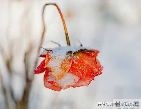 面对背叛，你该关注的就一点：这段关系，还有没有被治愈的可能