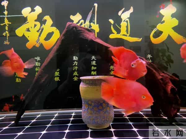 德行传家，是塑造富贵家族的命运。