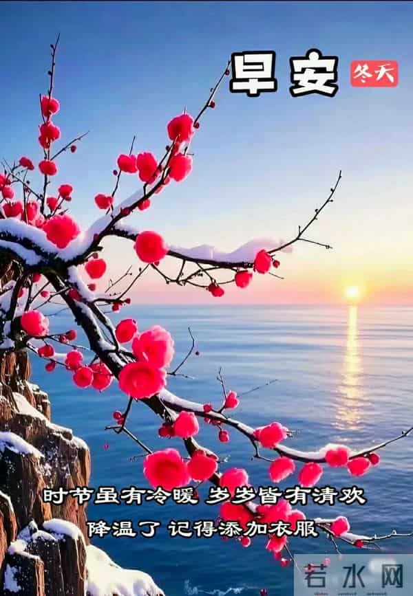 早上好早安祝福美图-浅冬生寒意，微光暖人心
