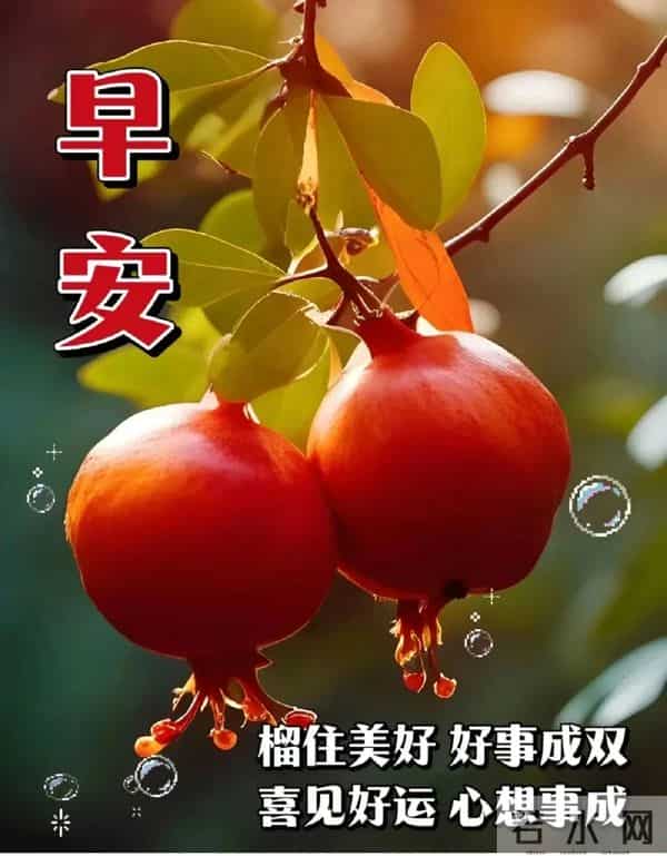 11月30日周日早上好 愿我们伴着不老的岁月 永远走在开心快乐的路上