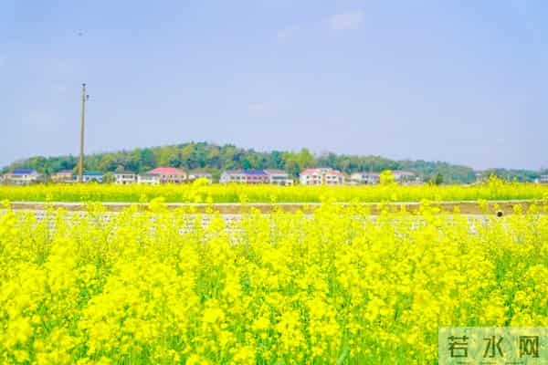 婆家那些事（118）操心工作又要担心孩子