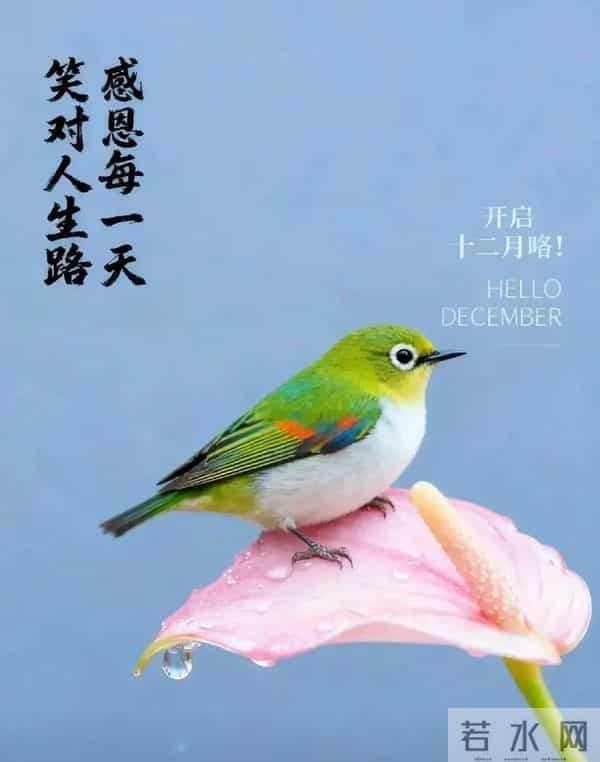 2025.11.30 冬天周日早上好！最新精美周日早安愉快温馨祝福语图片