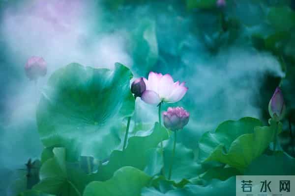 一个情字，牵绊了一生，余生，我只会爱你一人