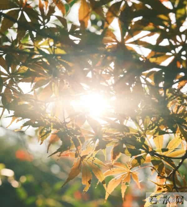 人到中年才顿悟：不论男女，只要有过一次背叛，晚年只剩两种活法