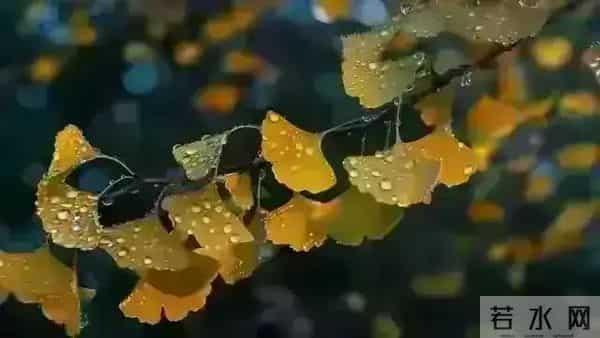 发现怪现象：越是独来独往没有朋友不合群的人，人品往往越没问题