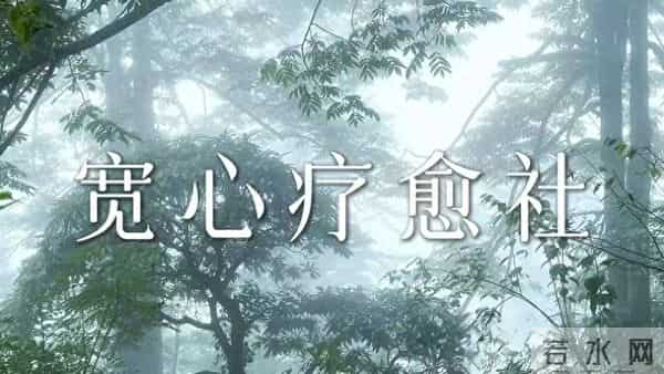 重度抑郁快速上岸，核心经验大公开