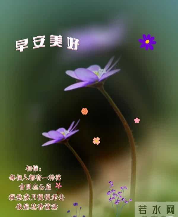 早安，愿今日皆安，万事顺意