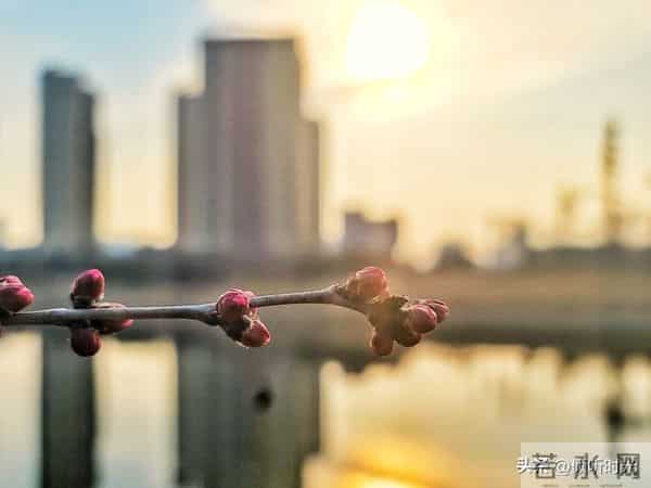 从明天起，万事皆成，对自己说：好运开启，万事顺意