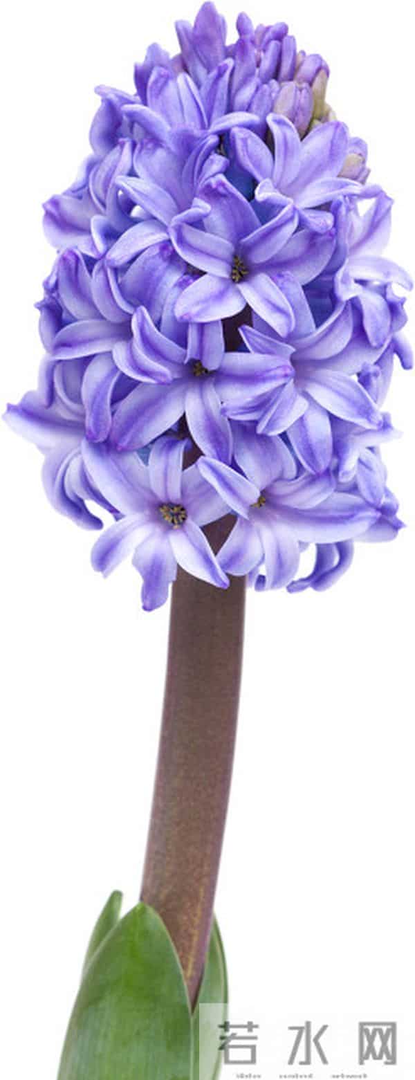 事实上，一个不喜欢你的女人，才会如此对待你