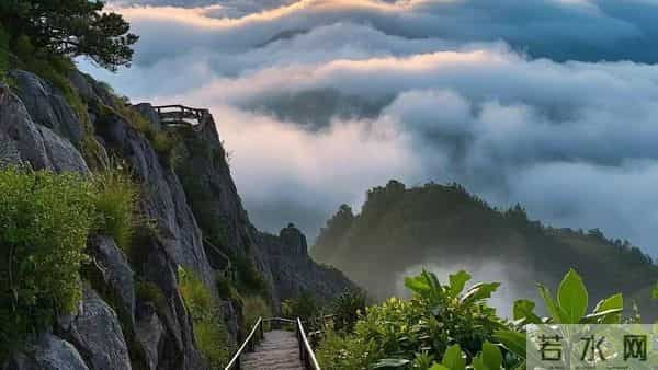 重度抑郁快速上岸，核心经验大公开