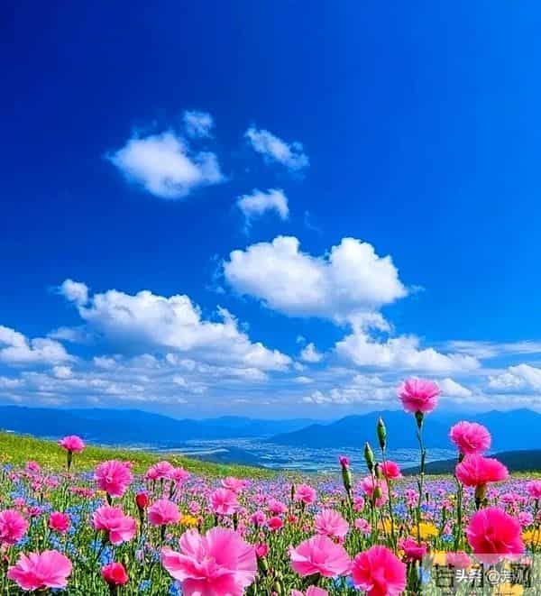 年过55才懂：兄弟姐妹翻脸后，这4种情况坚决不和解，早断早清净