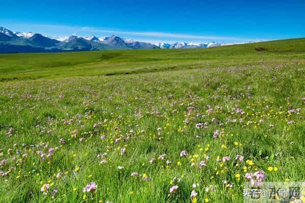 人老了最大的悲哀不是病，不是死，而是家里只剩下一人孤独地过着