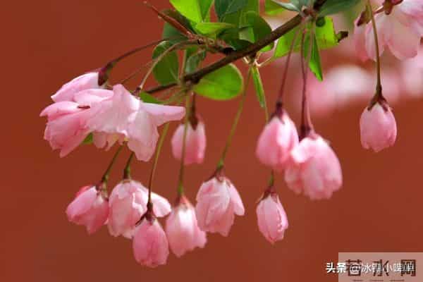 越是想征服一个男人，越不要主动，而是学会“晾”着他