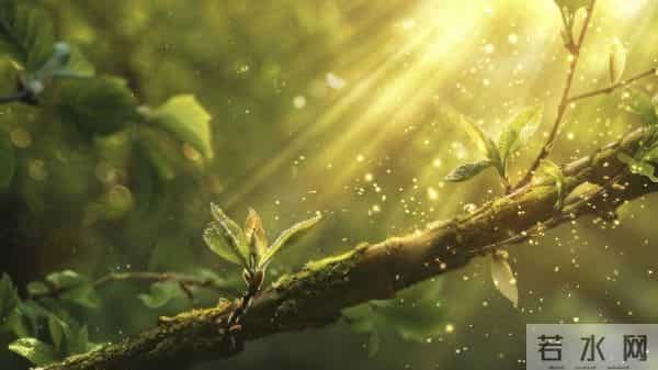 越厉害的人越低调？这4个细节，藏着你望尘莫及的认知高度