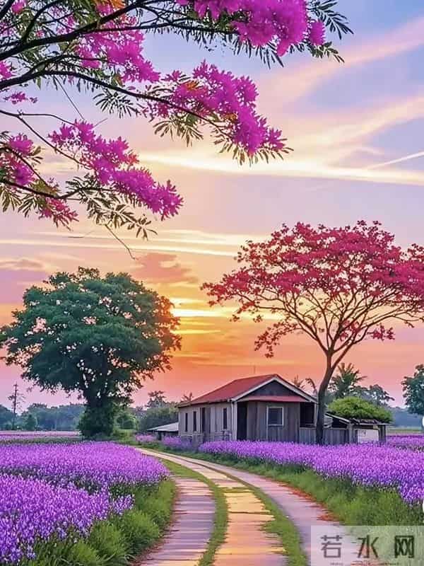 50后再婚，财产必须公证？过来人警告：爱情敌不过现实，别冒险！