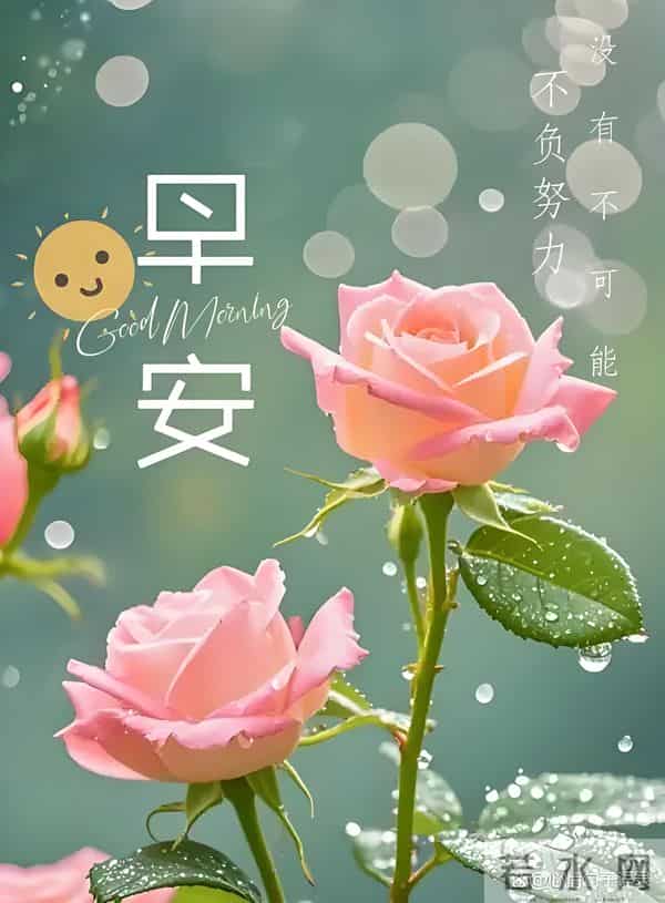 朋友圈早安文案，新的一天，愿你不只抬头望见灯塔的光，更能迈出