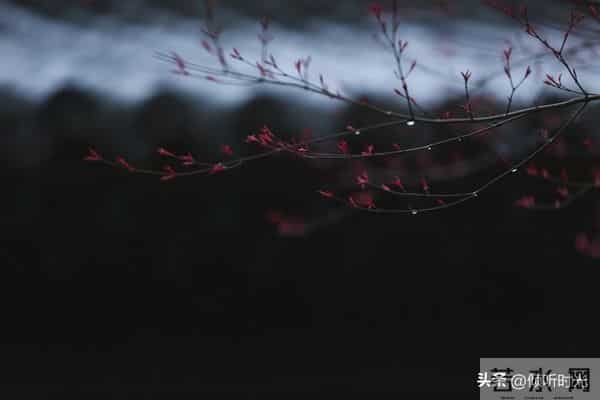 从明天起，万事皆成，对自己说：好运开启，万事顺意