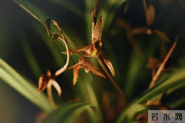 拿下一个女人的关键：墨菲定律