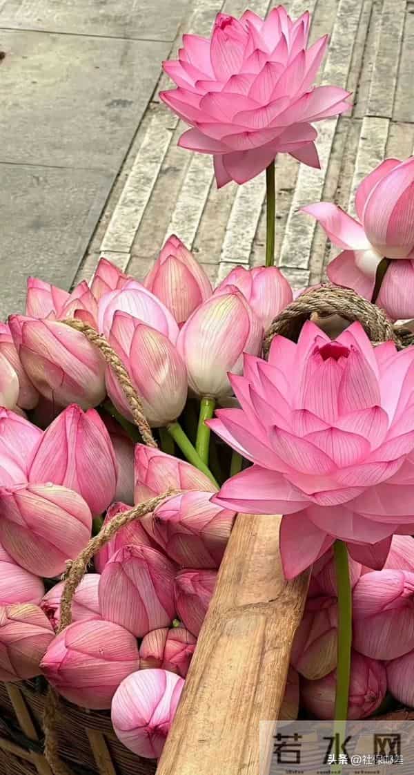 今天起转运！按下霉运清零键，祝你好运连连人生开挂！