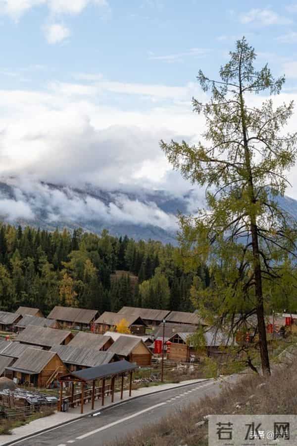 故事：婆媳关系（5）