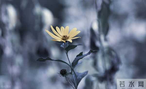 男人辜负你，你最好的回击是：做好一件事