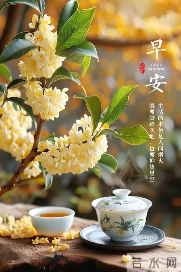 早安。清晨的茶香，是新一天最好的问候。