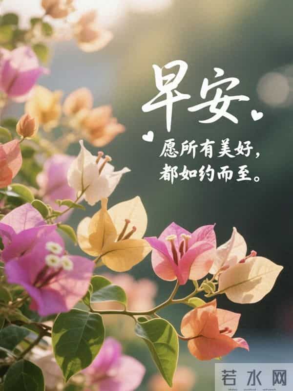 19句清晨温柔寄语，岁月温良，暖意常伴，愿你朝朝有光岁岁无忧