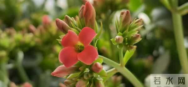 事实证明，女人想你了，会发出这样的信号