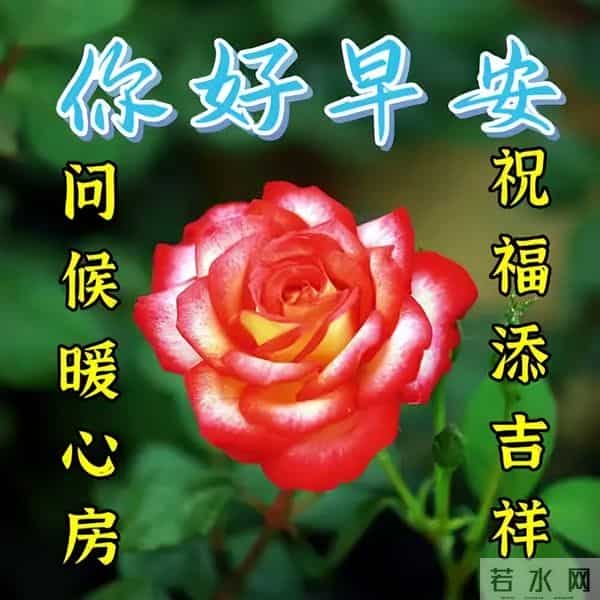 最新早安开心快乐短句子，经典正能量早上好句子，吉祥如意