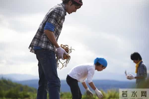 农村光棍婚姻困局：30多岁还没结婚，基本只认钱不认人？