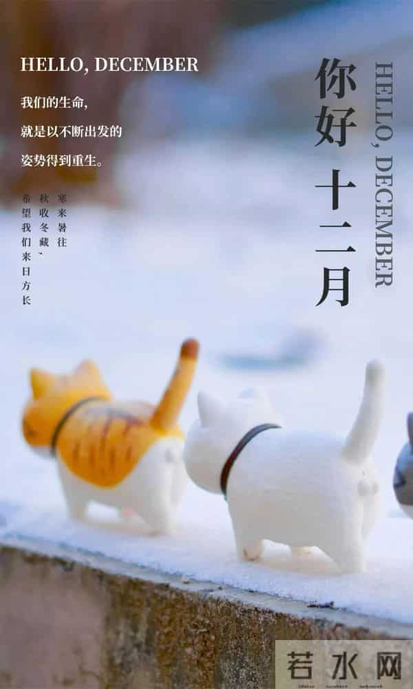 适合十二月日发朋友圈的文案