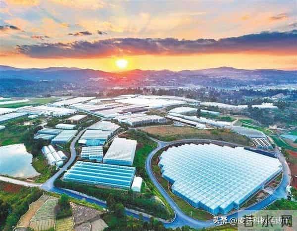 文眉师故意文丑眉强迫顾客升单获刑，纹眉背后的健康隐患：