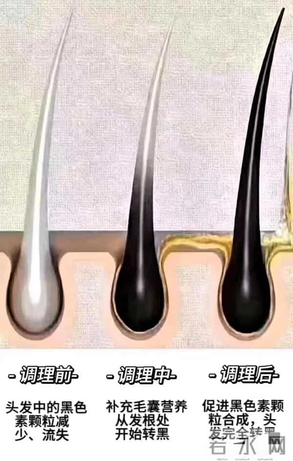 染发致癌还伤发！中年白发就吃它，每天10分钟，发根慢慢变黑