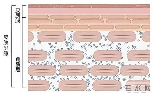 暖气一开皮肤“闹脾气”？ 皮肤专家：修复屏障是冬季护肤的核心