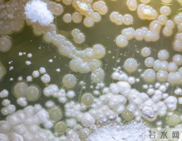 染发致癌是真的吗？哈佛大学调查12万人持续36年，结论终于出来了