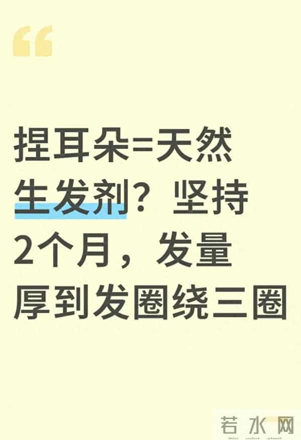 捏耳朵=天然生发剂？坚持2个月，发量厚到发圈绕三圈