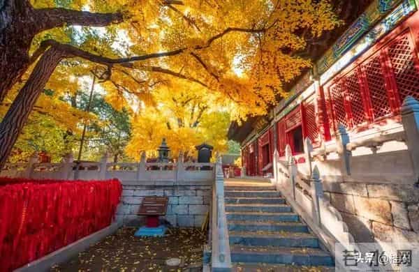 女性老得快的根本原因，勤洗头排第二，第一名的很多姐妹都在做