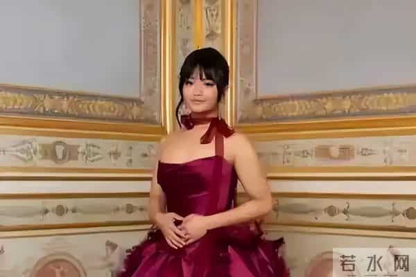 王传福女儿惊艳巴黎名媛舞会，背后故事太震撼！
