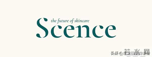 减法设计还是极致美学？洗护包装设计的视觉吸引力打造思路