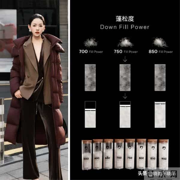 谁说“羽绒服”越贵越好？错！没有这3个关键词，还不如买便宜货